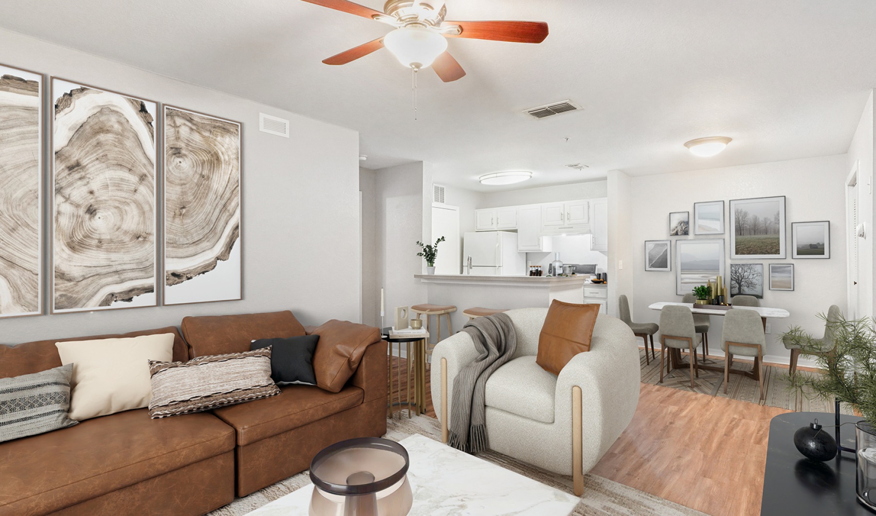 Staged Living Room